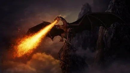Fotografie: Dragon