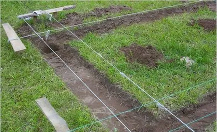 Case din lemn de tehnologie pentru constructii profilate