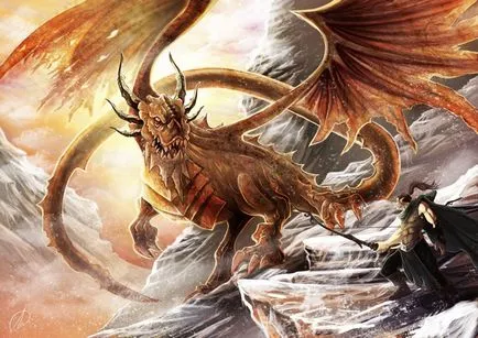 Fotografie: Dragon