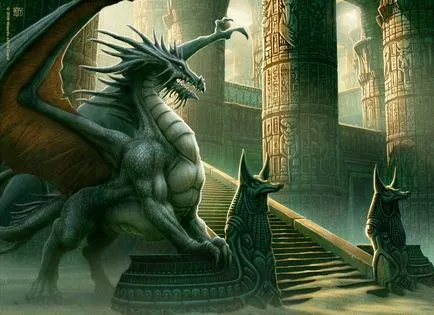 Fotografie: Dragon
