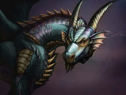 Fotografie: Dragon