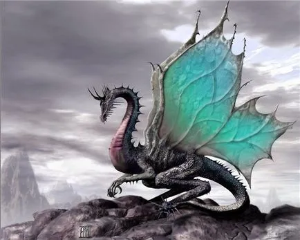 Fotografie: Dragon