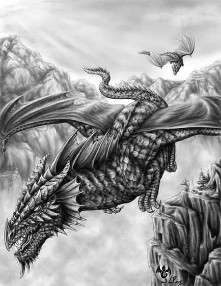 Fotografie: Dragon