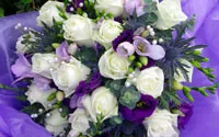 Eticheta, eticheta de flori, cum să dea și să primească un buchet