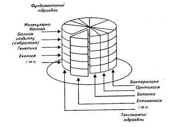 Ecologie - un mediu de biologie - studopediya (mediu) Ecologie - un mediu de biologie - studopediya