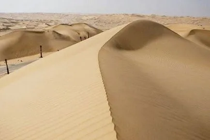 Dunes în natură