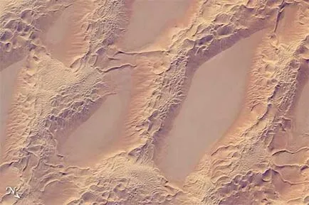 Dunes în natură