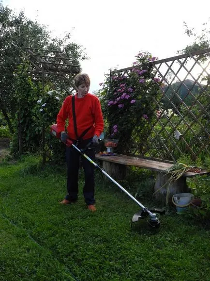 masini de tuns iarba electrice și o mașină de tuns comună (trimmer) masina de tuns iarba electrice și de tuns obișnuită