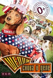 Filme online gratuite câini ceas (câini) Filme despre câini viziona online gratuite