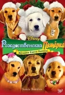 Filme online gratuite câini ceas (câini) Filme despre câini viziona online gratuite