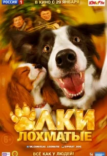 Filme despre câini viziona online gratuit (pentru a viziona) Filme despre câini viziona online gratuite