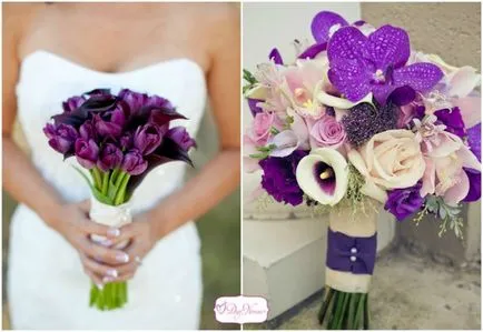 nunta Purple ca toate în mod corect pentru a emite (nunta de culoare violet) nunta Purple cum totul atragă în mod corect