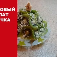 salate de fructe - (mai mult de 47 de rețete), cu fotografii de pe