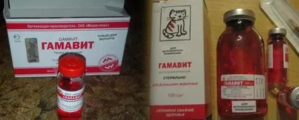 Gamavit pentru pisici - instrucțiuni de utilizare, comentarii, pret, site-ul de „halbă“