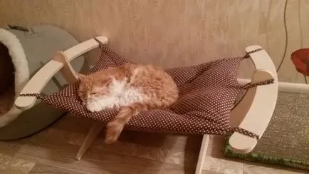 Hamac pentru pisici de pe baterie, modul de a face propriile lor mâini, cu o casă și un post de scărpinat (do) Hamac pentru pisici de pe baterie, modul de a face propriile lor mâini, cu o casa si pisoi