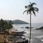 Goa-te, 14 zile în concediu