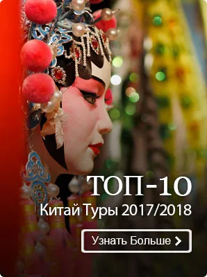 Anul horoscop câinelui, 2018 a unui animal (orice animal 2018) Anul horoscopului Dog, 2018 ce animal