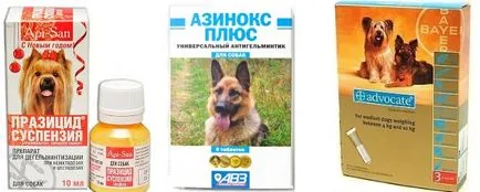 Antihelmintic pentru lista câini de resurse bune, „da laba“