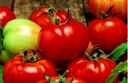 soiuri de tomate olandeze pentru câmp deschis