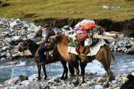 Tien Shan Munții