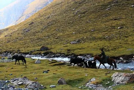 Tien Shan Munții