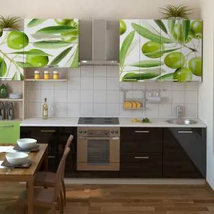 Idei pentru bucătărie de design contemporan (56 poze) (utilizarea) Idei pentru bucătărie de design contemporan (56 poze)