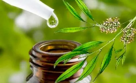 Fungus nogtey- top 10 remedii naturale pentru tratamentul