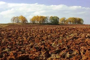 ecosistemul artificial (rezervor) exemple, caracteristica