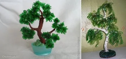 bonsai artificiale pentru etapa de mâini cu pas, cu fotografii, o clasă de master, modul de a face cele mai detaliate (mâini) bonsai artificiale pentru etapa de mâini cu pas, cu fotografii, o clasă de master, modul de a face cele mai detaliate