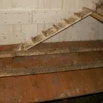 Noi fabricarea roosts pentru puii cu pas mâinile lor cu instrucțiuni pas cu pas și o fotografie (pas cu pas) Noi fabricarea roosts pentru puii cu pas mâinile lor cu instrucțiuni pas cu pas și fotografii