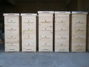 Fabricația stupi cu propriile lor mâini mărimea și desene (de mână) Fabricația stupi cu propriile lor mâini dimensiunea și desene