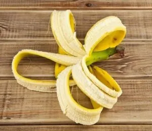 îngrășământ de calitate pentru răsaduri de piei de banane (retete, cu o coaja de banana) îngrășământ de calitate pentru răsaduri de piei de banane