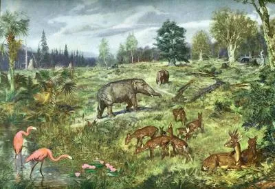 Istoria dezvoltării pământului planetei (sol) Istoria de dezvoltare a planetei Pământ