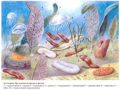 Istoria dezvoltării pământului planetei (sol) Istoria de dezvoltare a planetei Pământ