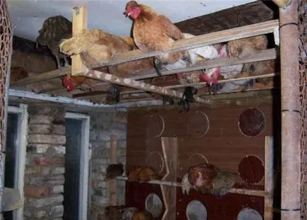 Noi fabricarea roosts pentru puii cu mâinile lor instrucțiuni pas cu pas și fotografii (cu mâinile) Noi fabricarea roosts pentru puii cu pas mâinile lor cu instrucțiuni pas cu pas și fotografii