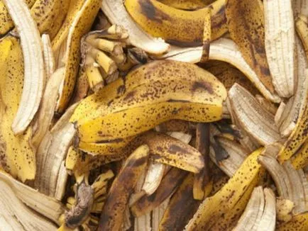 îngrășământ de calitate pentru răsaduri de piei de banane (va fi foarte recunoscător) îngrășământ de calitate pentru răsaduri de piei de banane