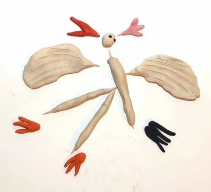 schema de pasăre-pas plastilină