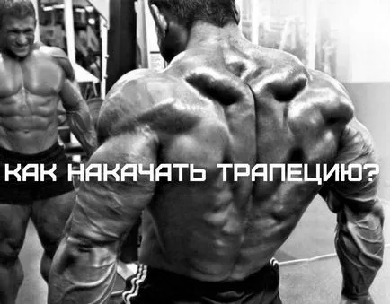 Cum de a pompa rapid trapez cele mai bune exerciții (pompe) Cum de a pompa rapid trapez cele mai bune exerciții