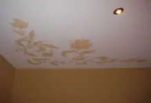 Ce mai bine de plafoane luciu sau mat unele comentarii pentru a selecta diferența, Matt fotografii la fața locului (unele plafoane lucioase sau mate mai bine) Ce mai bine de plafoane luciu sau mat unele comentarii pentru a selecta diferența, Matt la fața locului fotografie