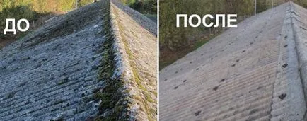 Cum și ce să picteze acoperiș de ardezie, instructiuni de pictura ardezie decât în fotografie și video (acoperiș) Cum și ce să picteze acoperiș de ardezie, instructiuni de pictura ardezie decât în fotografie și video