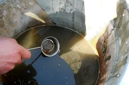 Cum se extrage de pescuit bloodworm