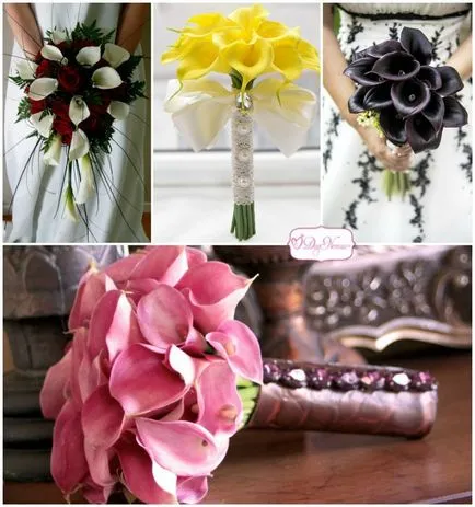 Ce fel de flori pentru a alege un buchet de mireasa (buchetul miresei care) Ce fel de flori pentru a alege pentru buchetul miresei