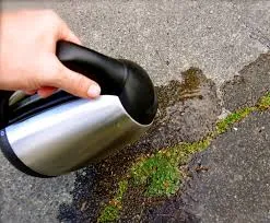 Cum să scapi de iarbă în grădină o dată pentru totdeauna