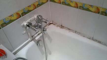 Cum sa scapi de mucegai în baie, anti-ciuperca - matrița de plumb