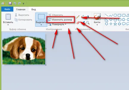 Cum de a schimba dimensiunea și formatul de imagini (poze) Cum de a schimba formatul imaginii și dimensiunea