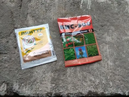 Cum să scapi de iarbă în grădină o dată pentru totdeauna