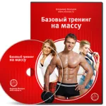Cum de a construi umeri blog Andrew Minaev