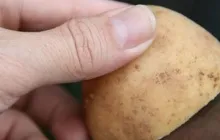 Cum sa cumparati o masina folosita - a verifica dacă