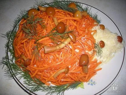 Cum vă aranja salata acasă gustoase - pas cu pas rețete cu fotografii