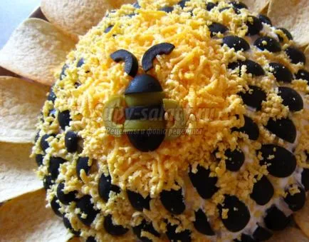 Cum vă aranja salata acasă gustoase - pas cu pas rețete cu fotografii